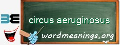 WordMeaning blackboard for circus aeruginosus